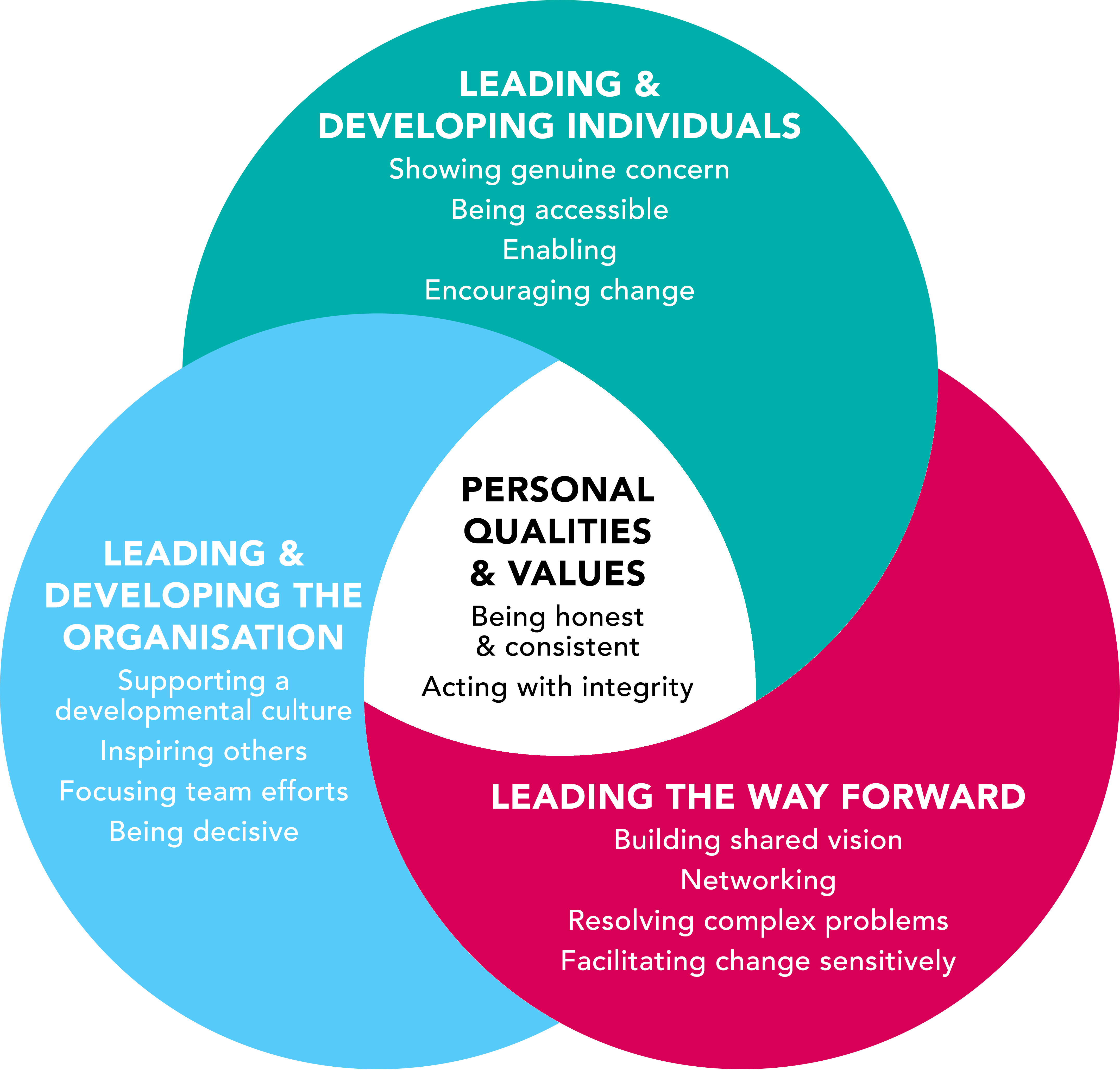 pacesetting-leadership-harrisonqoporter